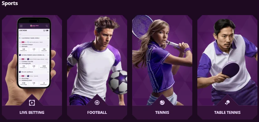Malina Kasyno Sportowe